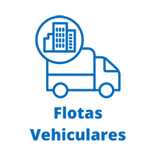 Flotas Vehiculares